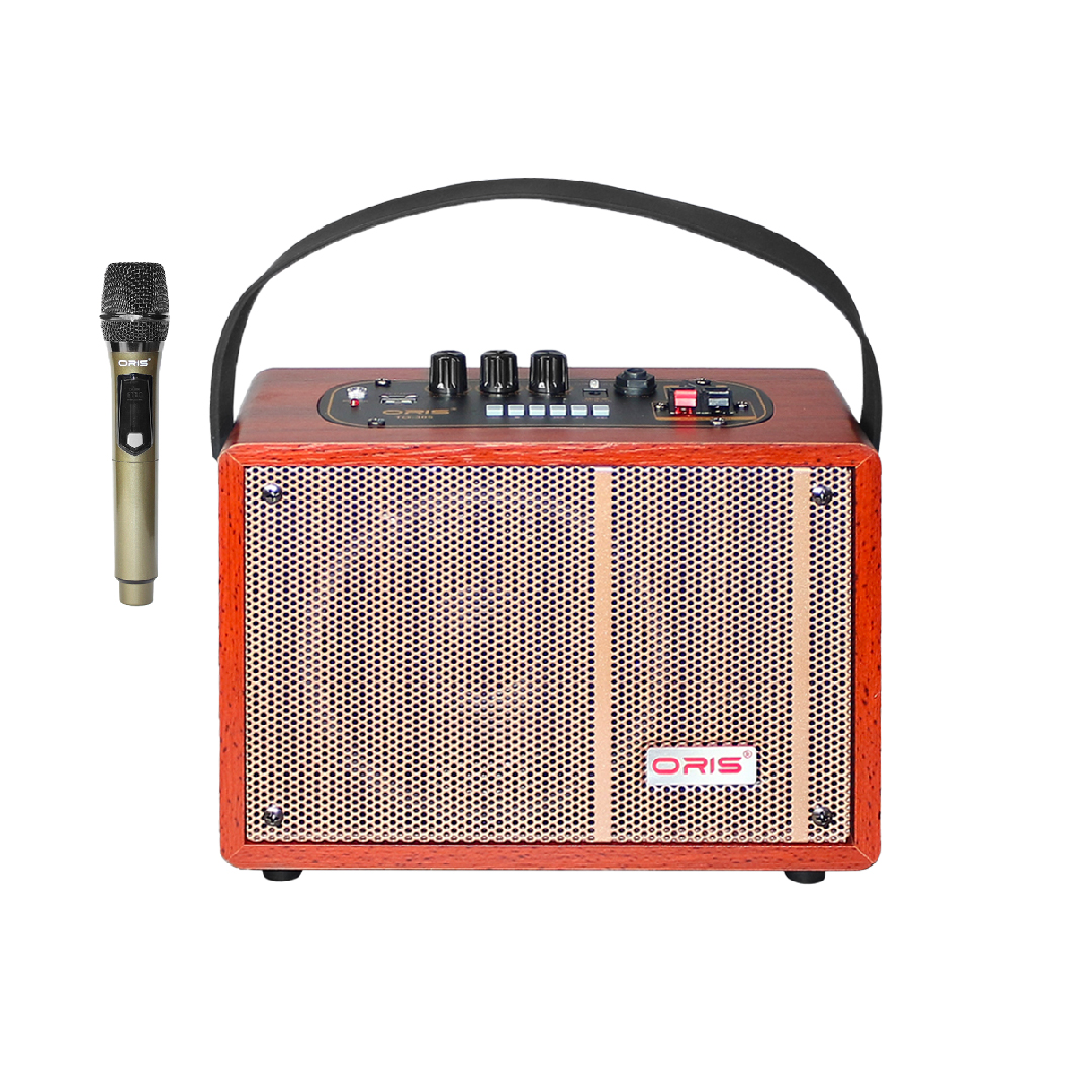 LOA KARAOKE DI ĐỘNG TO-305